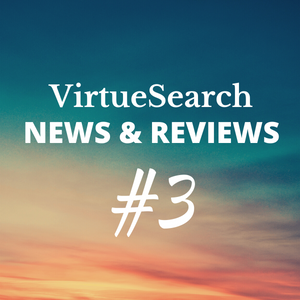 Virtue Search Media